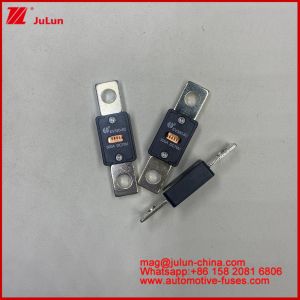 EV320 5X 5C plate-type bolt connection Transparent window fuse 80A 100A 125A