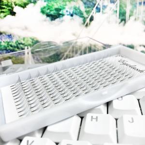 Cheap D Curl 4D 5D 6D Premade Fans Various Design Customized Logo 8 - 18mm Length for sale