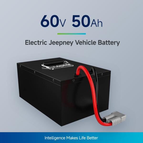 60V 50Ah LFP Tuk Tuk /tourist vehicle battery pack with rang 120km and 3 years