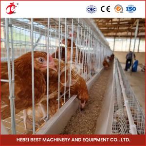 4-6 Birds Poultry Layer Cage with Hot Dip Galvanized Finish Star