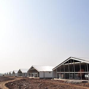 Poultry farm Henhouse turnkey solution