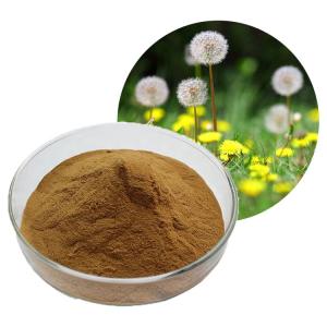 China 10:1 Bulk Taraxacum Mongolicum Dandelion Herb Root Leaf Extract Powder on sale