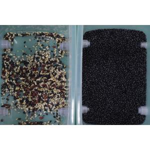 Factory Sales 320 Channels CCD Color Sorter with 99.99% Sorting Accuracy and 304