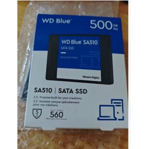 Brand New SA510 SSD Original Blue 250GB/500GB/1TB/2TB Solid State Drive (SSD) in