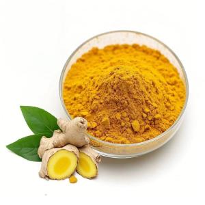 Wholesale Customization Inclusion Compound of Curcumin Factory Direct Sales