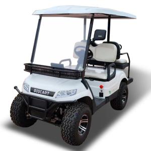 4x4 Utility Golf Cart 2 Seater 30mph Color Custom