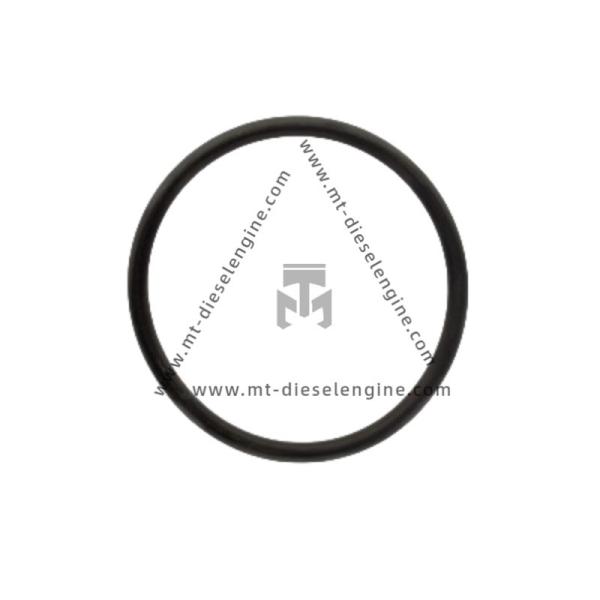 O-seal 01153828 01161340 01161339 01166061 01167380 1153828 1161340 1161339