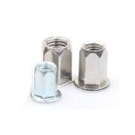 Flat Head Open End Hex Rivet Nut Blind Riveting Round Head Full Hex Rivet Nuts