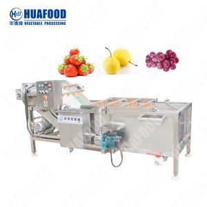 China Brand New Fruit And Vegetable Cleaning Strawberry Canning Washing Machine With High Quality on sale