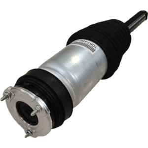RWD Rear Tesla Model S 2016-2019 Air Suspension Shock 1067466-00-C