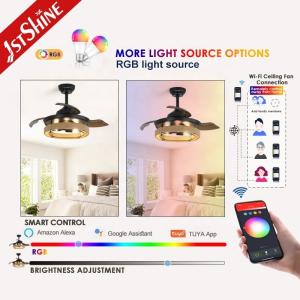 36 Inch Black Caged Ceiling Fan with Light and Remote Midcentury Lighting