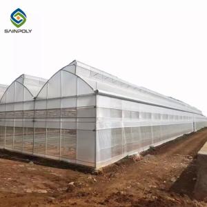 Agricultural Polytunnel Polyethylene Plastic Sheeting Greenhouse Multi Span