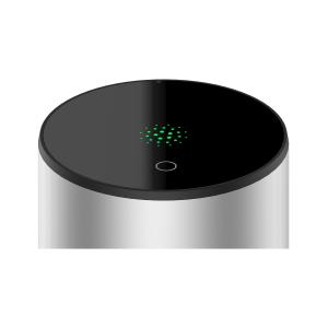 Advanced Pulsed Ion Chamber Technology for Precise Radon Detection Home and