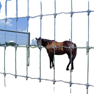 Superior Quality China Anping Galvanized Livestock Cattle Fence Farm Gate
