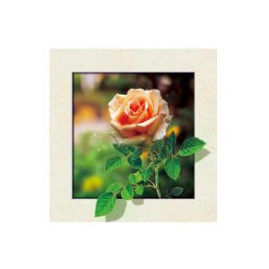 China Eco Friendly Plastice 3D Lenticular Printing Service Picture Nature Landscape on sale