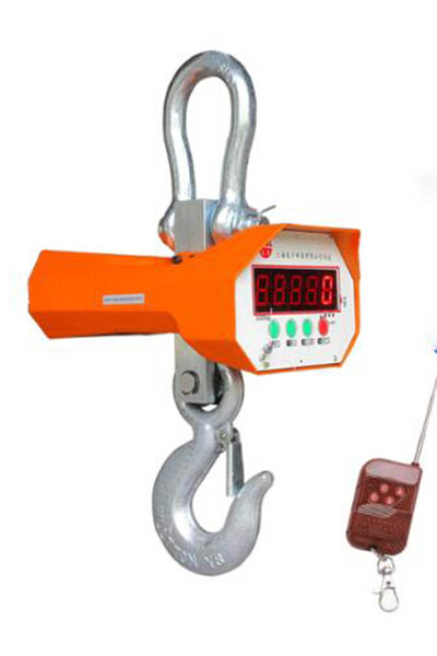 Easy Operation Overhead Crane Parts Crane Weighing Hanging Scales