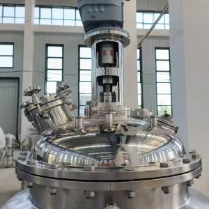 Custom Stainless Steel Food-Grade Reaction Vessel 220V Chemical Reaction Vessel