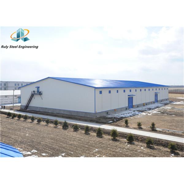 Light Steel Stable Long Lifetime Customized H Section Steel Painted/Galvanized
