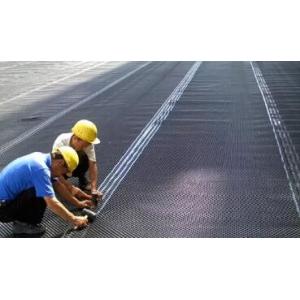 HDPE 3D Geocomposite Drain , Composite Drainage Board Extrusion Machine