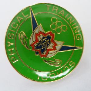 Cheap Iron / Brass Die Struck With Soft Enamel green Pad Printing lapel pin badge for sale