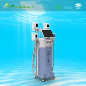 2015 multifunction lose weight 4 cryolipolysis heads 4 handls cryolipolysis
