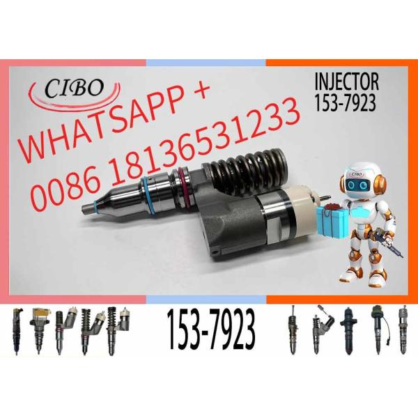 153-7923 Oem Fuel Injectors 0R-9595 317-5278 350-7555 229-1631 212-3468 For C12/3176B Engine