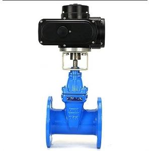 Customized Port Size HT200 Cast Iron Flange Type Gate Valve with Ductile Iron