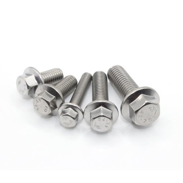 Customized Stainless Steel Full Thread Hex Flange Bolt 8.8 10.9 M6 M8 M10 x 125mm M12