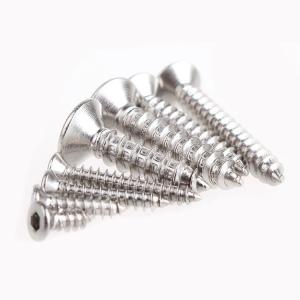 DIN EN ISO 14586 SUS304 Plum Blossom Screw Countersunk Head Tapping Screw