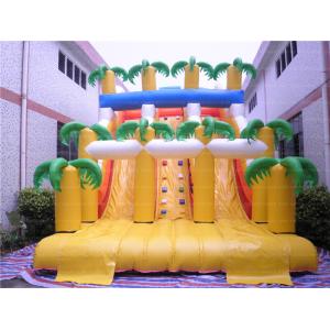 Cheap Hottest Tropical Inflatable Slide (CYSL-55) for sale