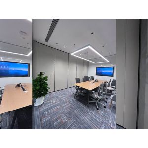 High-Performance Sound Proof Partitions with 6061-T6 Profiles Q235 Steel Frame