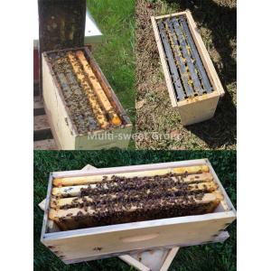 Bee Hive Equipment Queen Rearing Nuc Box Langstroth Beehive