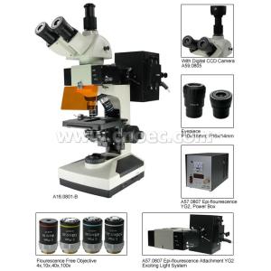 Cheap 40X - 1600X Trinocular Fluorescence Microscope Compound Microscopes A16.0801 for sale
