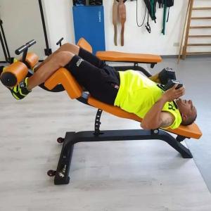 Befreeman Wholesale Gym Strength Exercise Bench Adjustable Incline Decline Bench