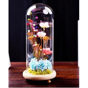 glass display dome with base doll domes different size available