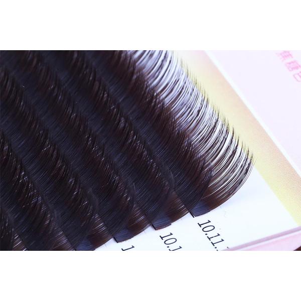 Brown Color Semi Permanent Individual Lashes J B C Curl 0.15mm Thickness Hand Made Type