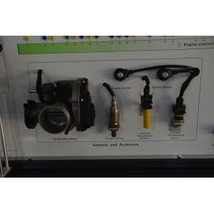 50Hz Gasoline Engine Automotive Education Equipment Engine Control System