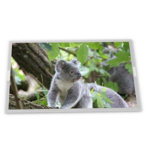 Cheap H466TAN02.2 4.7\&quot; Medical LCD Display High Quality TFT LCD Touch Screen Panel New Modules for sale