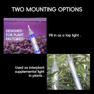 Full Spectrum T8 LED Tube Lighting 18W 25W 36W With Connector