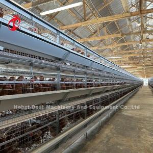 Q235 Steel Chicken Battery Cage For Poultry Farm Custom Size Iris