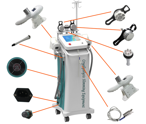 zeltiq cryolipolysis machine / cryolipolysis slimming machine for body slimming & shaping
