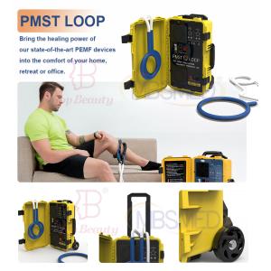 Pmst Double Loop For Human Physical Therapy Physio PEMF Magnetic Therapy Device