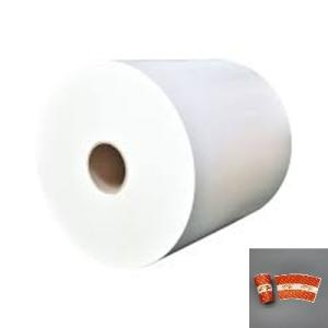 Designed Printing Customized PE/PLA Laminated Coated Paper for School Food