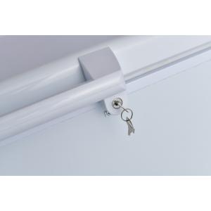 Large Capacity Deep Chest Freezer with 7cm Foam Layer and R600a/R290a Refrigeran