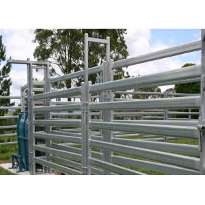 Smooth Surface Cattle Yard Panels , Lightweight Livestock Panels Anti Broken