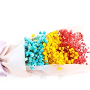 Preserved Babysbreath Wish In A Bottle Gift With Beautiful Appearance