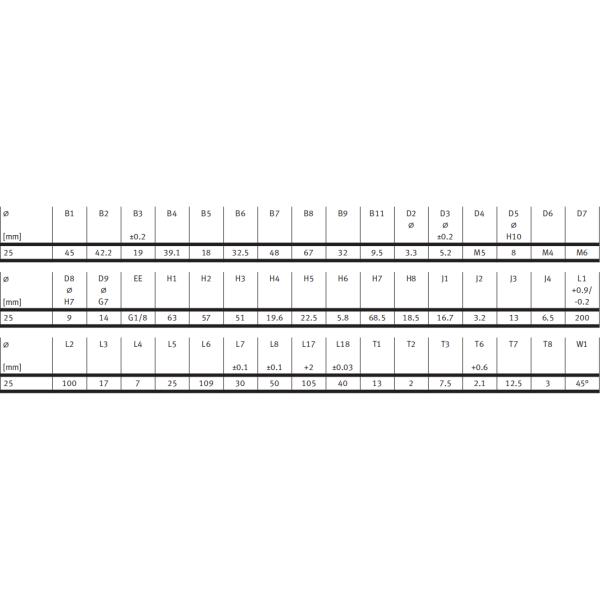 FESTO Mechanical Rodless Cylinder DGPL Linear Drives DGPL-25-250-PPV-A-B-KF 526649 DGPL-25-400-PPV-A-B-KF 526650 DGPL-25-500-PPV-A-B-KF 526651