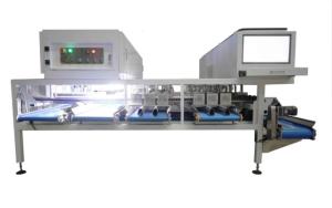 Cheap 380V 50Hz Mechanical Almonds Sorting Machine 6 Channel AI Sorting for sale