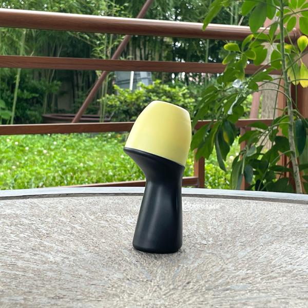 Special Shape Refillable Roll-On Perfume Bottles Plastic Roll-On Bottles For