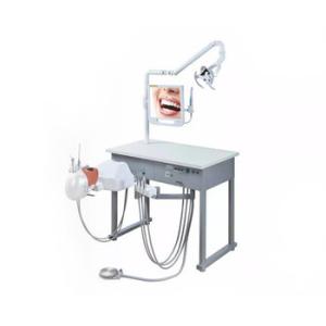 Dental Care Patient Simulator Units For Practical Teaching